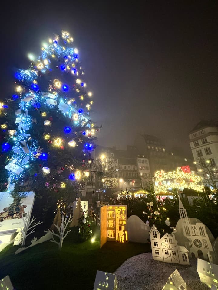 クレベール広場の夜のクリスマスツリー