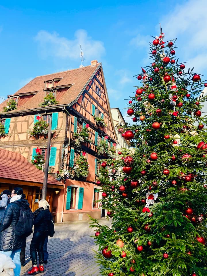窓がクリスマスツリーだらけのお家