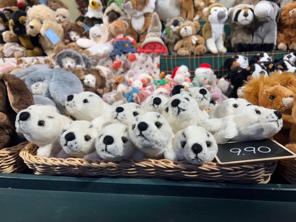 僕たちを連れてって〜!🙈