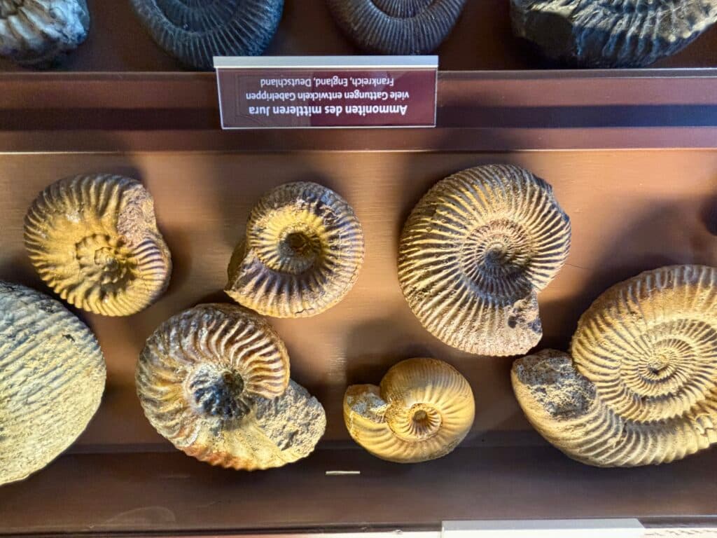 🌀🌀🌀